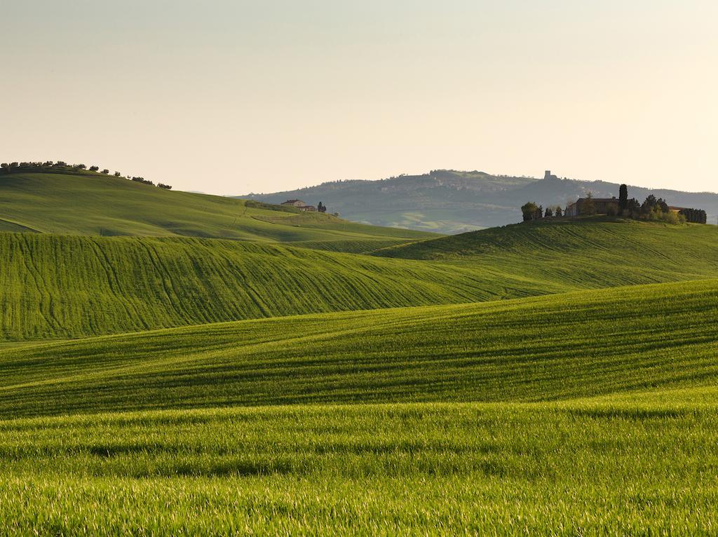 פיינצה Agriturismo Poggio Tobruk מראה חיצוני תמונה