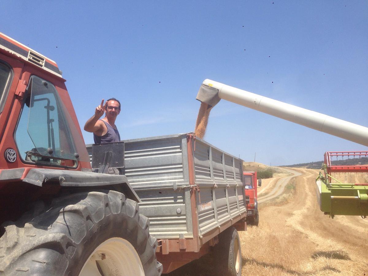 פיינצה Agriturismo Poggio Tobruk מראה חיצוני תמונה